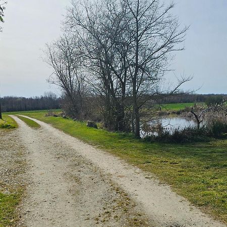 Au Petit Paradis Sainte-Gauburge-Sainte-Colombe 外观 照片