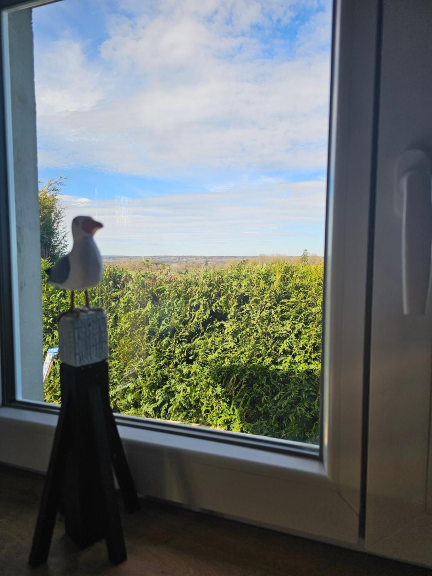 Au Petit Paradis Sainte-Gauburge-Sainte-Colombe 外观 照片